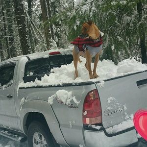 Meet your Posher, Amanda